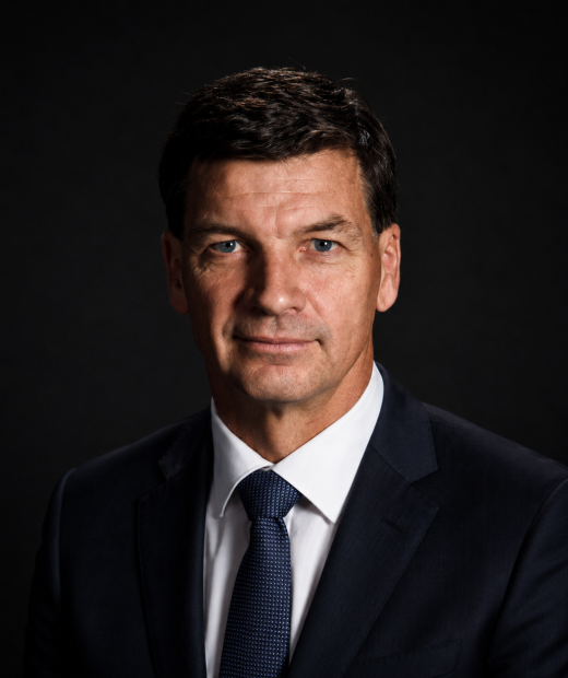 Hon. Angus Taylor MP